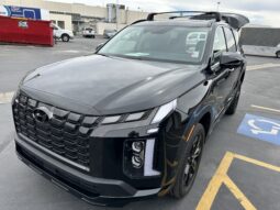 2024 Hyundai Palisade XRT | Freedom Motors Power Rear Entry Wheelchair Accessible SUV full